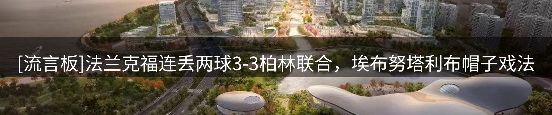 企业视角
